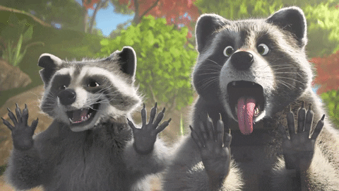 Funny racoon gif